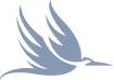 Silver Eagle